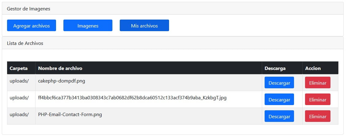 Mis archivos de carga de multiples archivos